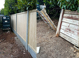 New fence and old fencing